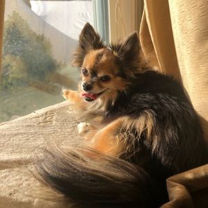 Meet your Posher, Rebecca